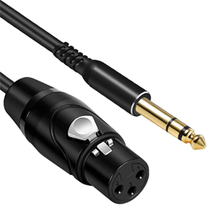 3m (10') TRS to XLR F Cable