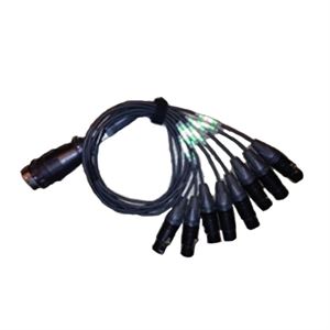 8-Way Burndy Male to Female XLR Fanout