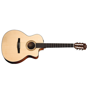 NS24ce nylon string Acoustic/Electric