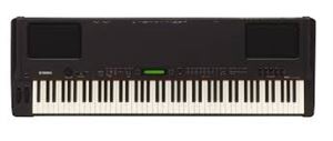 P250 88 Key Electric Piano