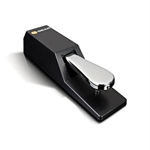 SP-2 Universal Sustain Pedal